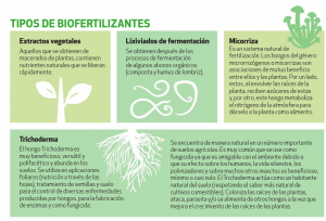 Biofertilizantes, Apoyo En El Proceso Natural De Nutrición Y ...